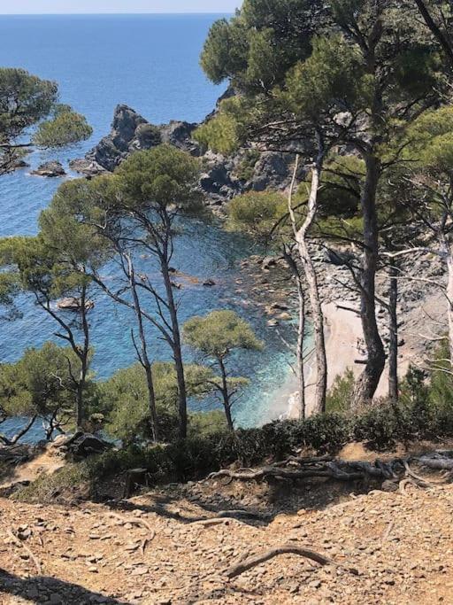 Petite Endroit Splendide. Six-Fours-les-Plages